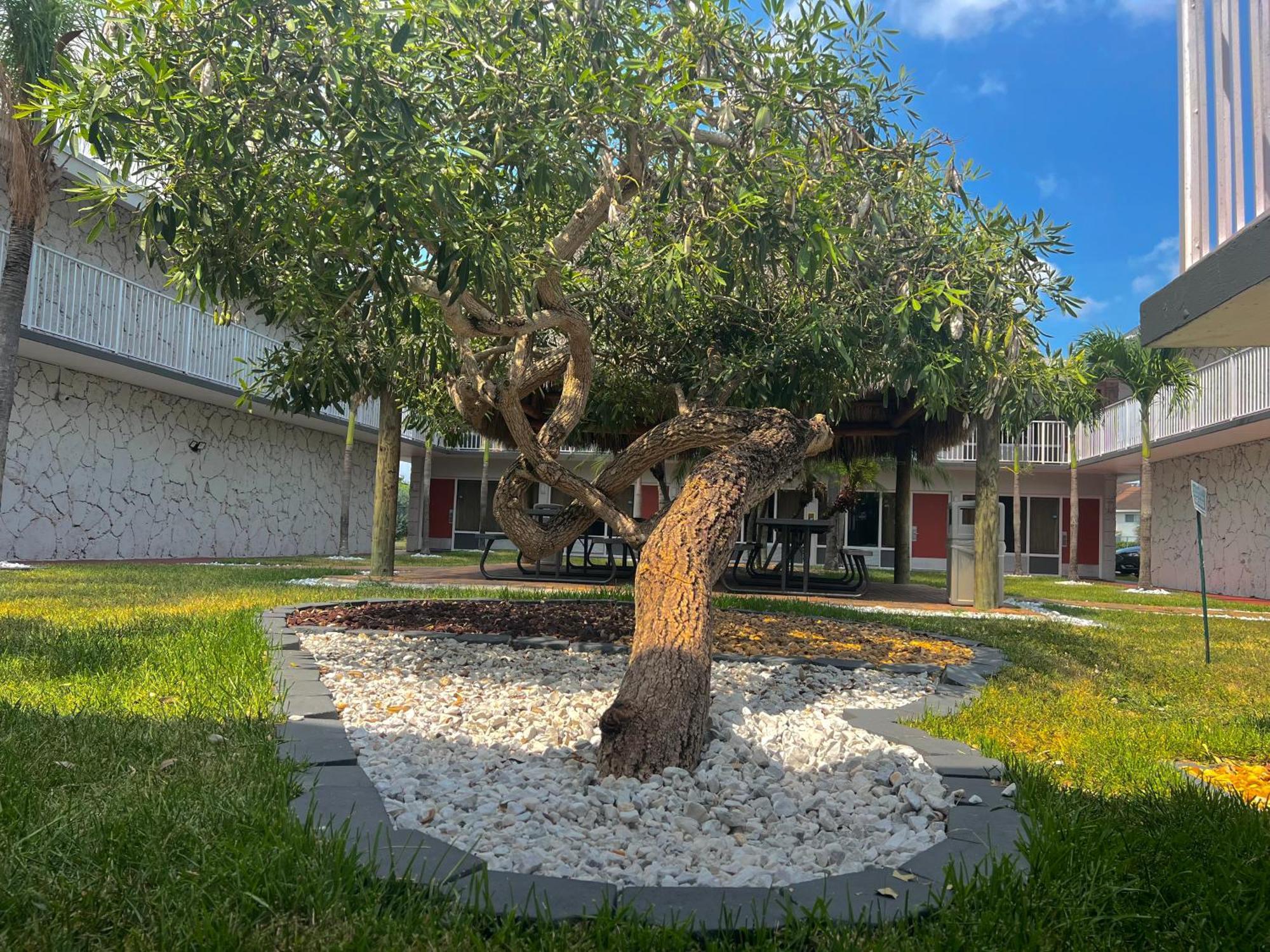 Garden Inn Homestead/Everglades/Gateway To Keys Eksteriør billede